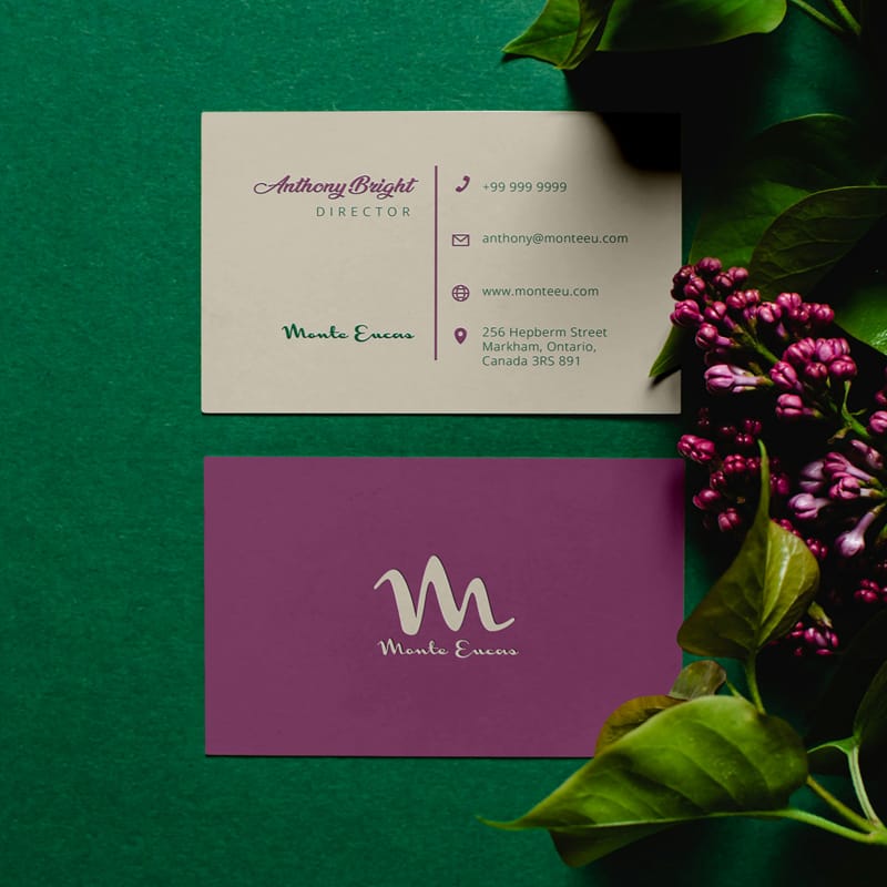 55 x 85 mm UK Business Card Mockup PSD