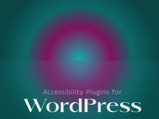 Accessibility Plugins for WordPress