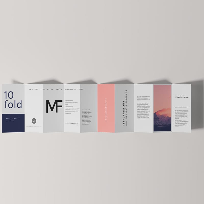 DL Ten-Fold Brochure Mockups PSD