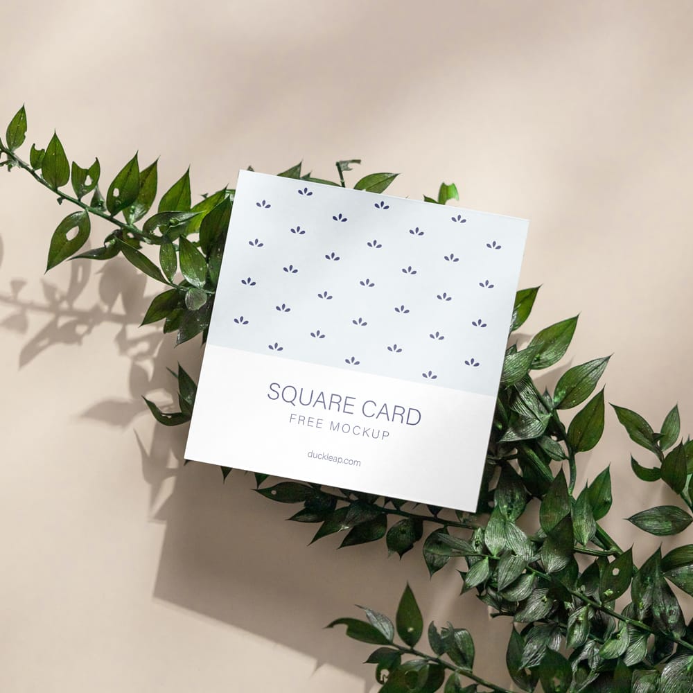 Free Square Card on a Plant Mockup PSD