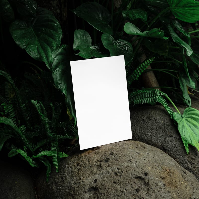 Lush Series Poster Mockup PSD