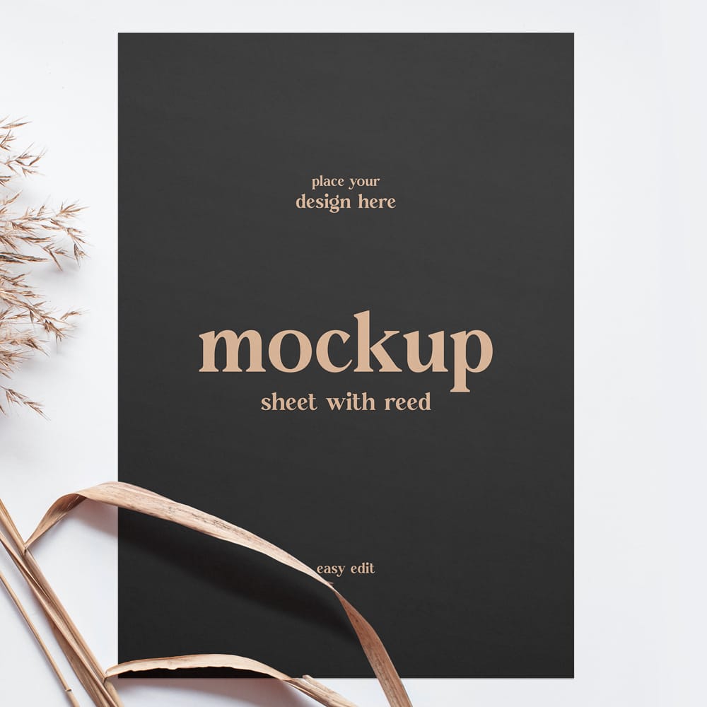 Free Beautiful Sheet with Reed Mockup PSD