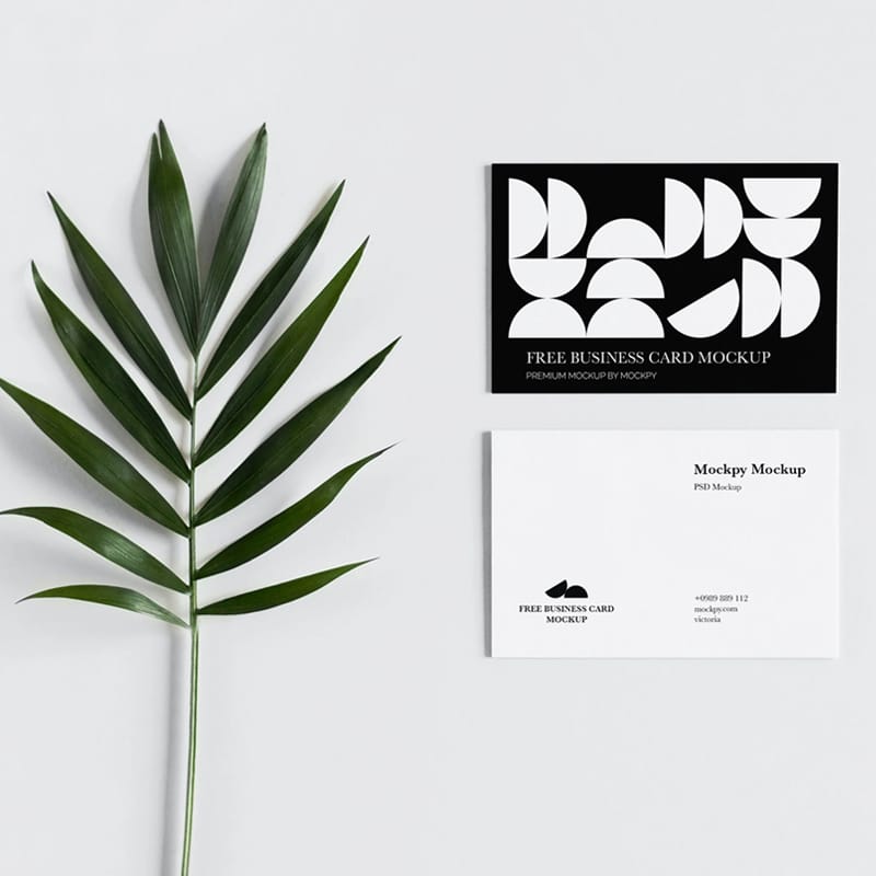 Business Cards With Palm Leaf Mockup PSD
