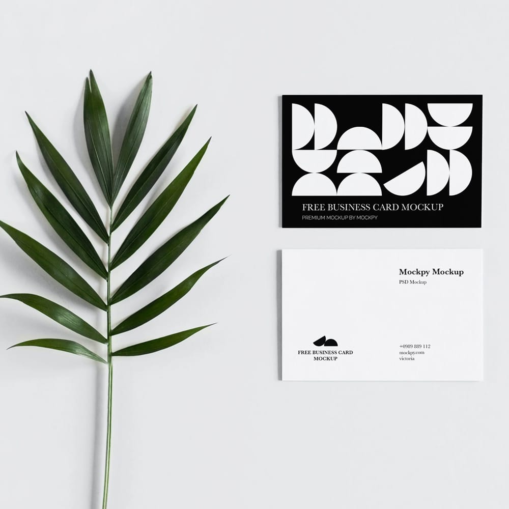 Free Business Cards With Palm Leaf Mockup PSD