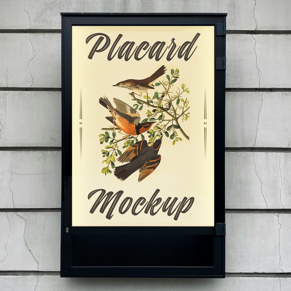 Free CLP Placard Mockup PSD