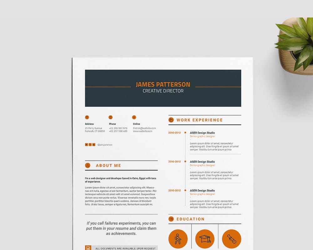 Creative Indesign Resume Template