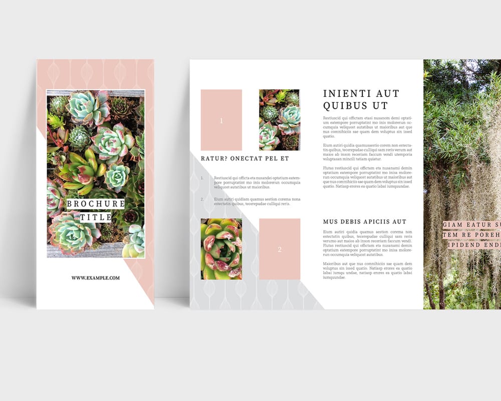 Delightful Trifold Brochure Layout