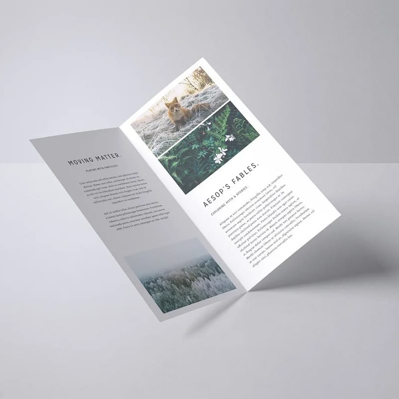 Dl Bifold Mockup PSD