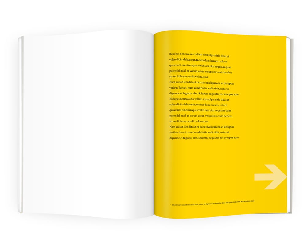 Free InDesign BooK Template