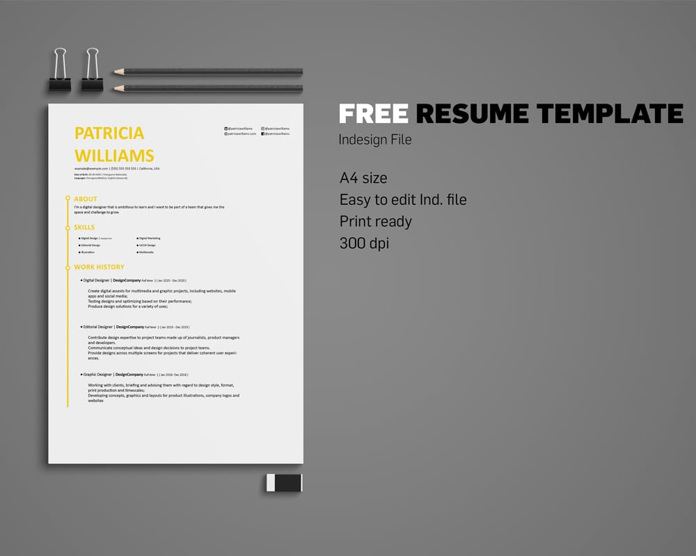 Free Indesign CV Template 