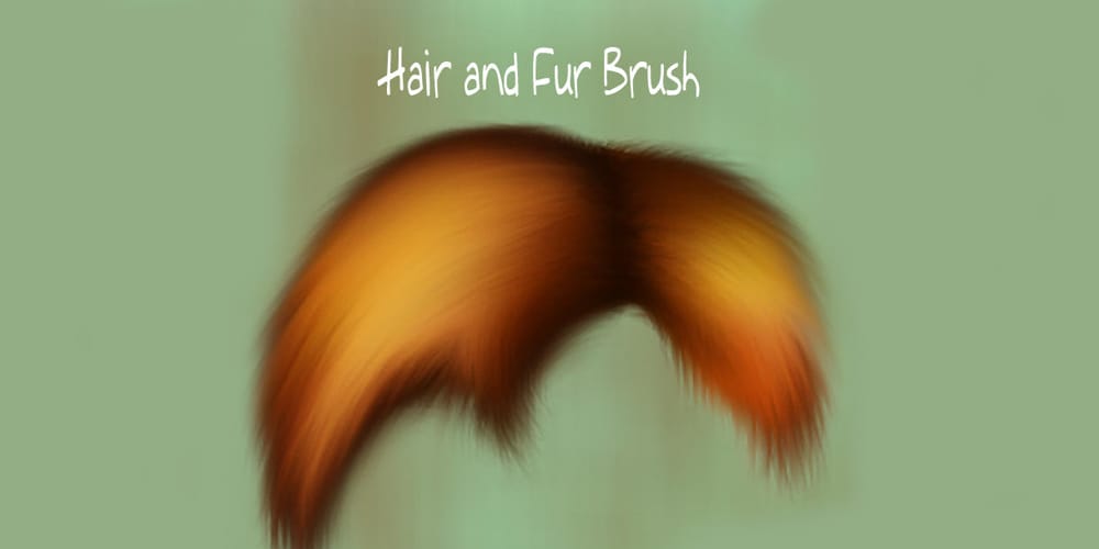 Hair and fur Brush