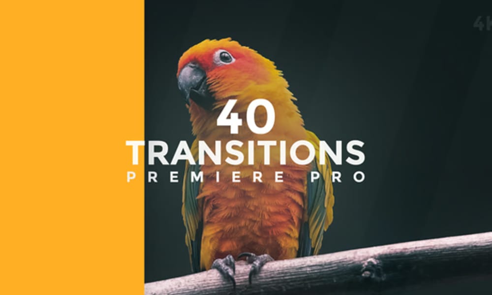 Transitions Premiere Pro
