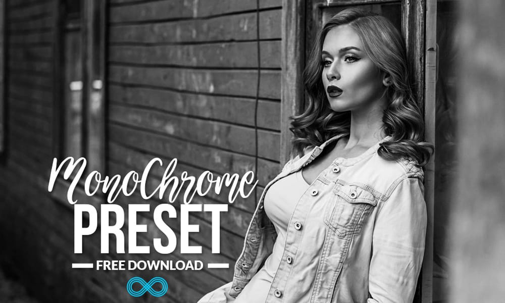 Free Monochrome Lightroom Preset