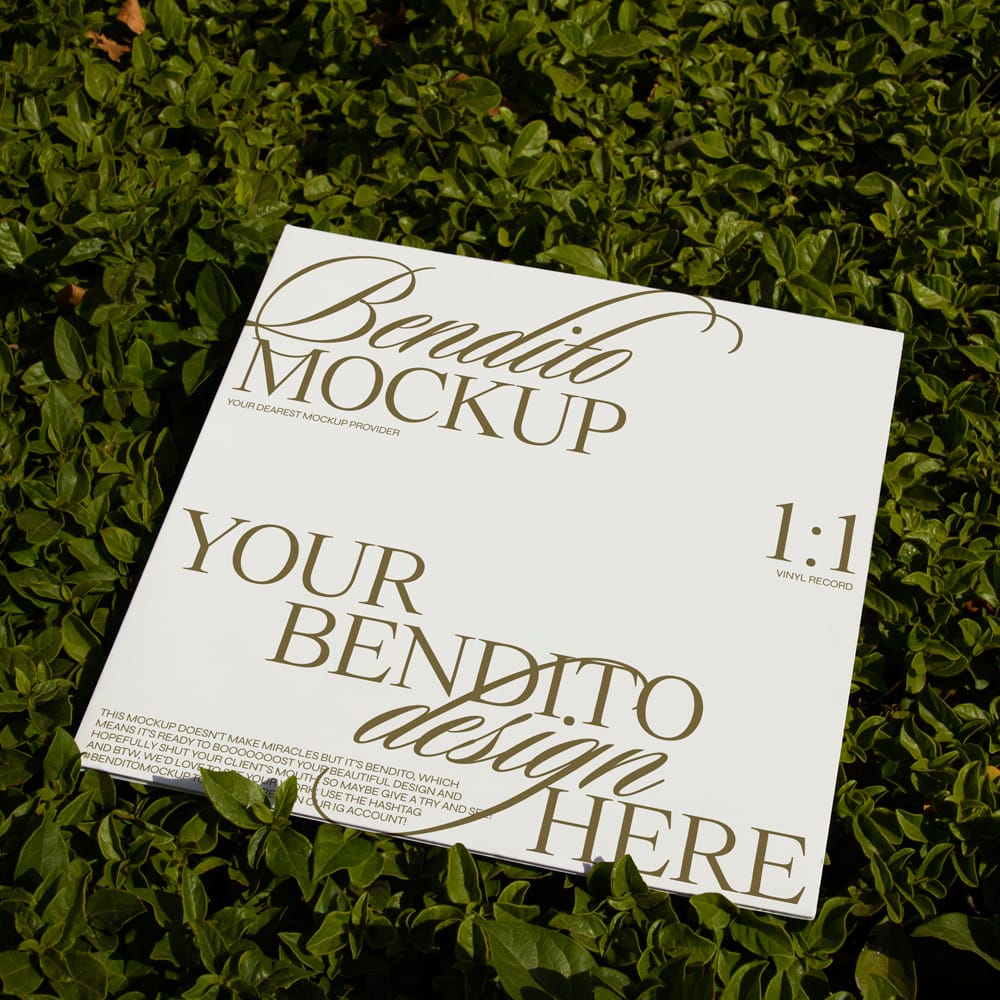 Free Realistic Vinyl Record Cover Mockup PSD