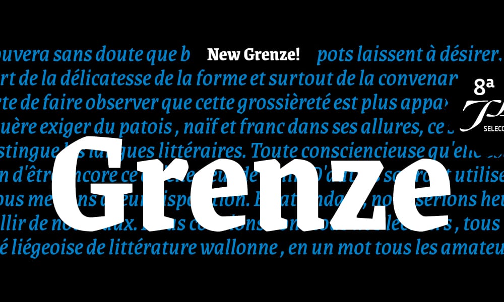 The Grenze typeface, a free thick serif font for headlines.
