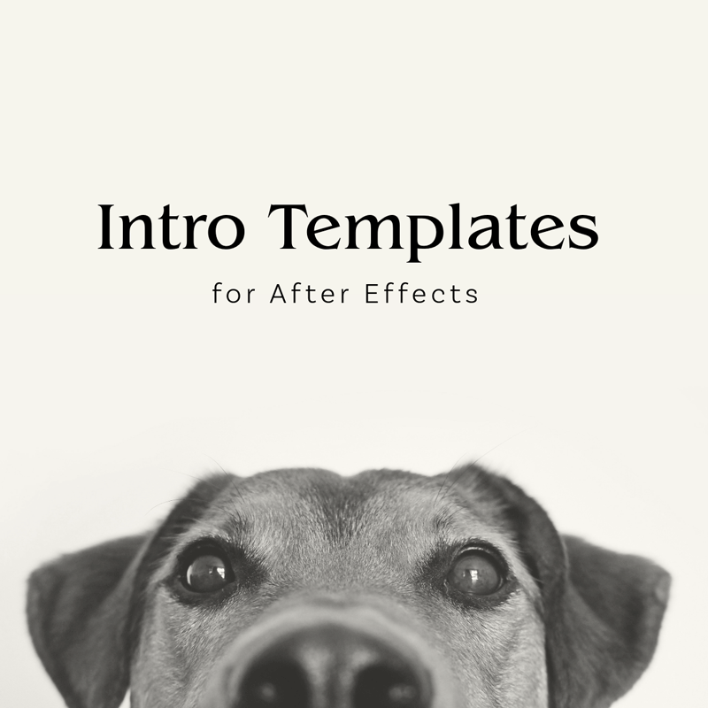 Intro Templates for After Effects