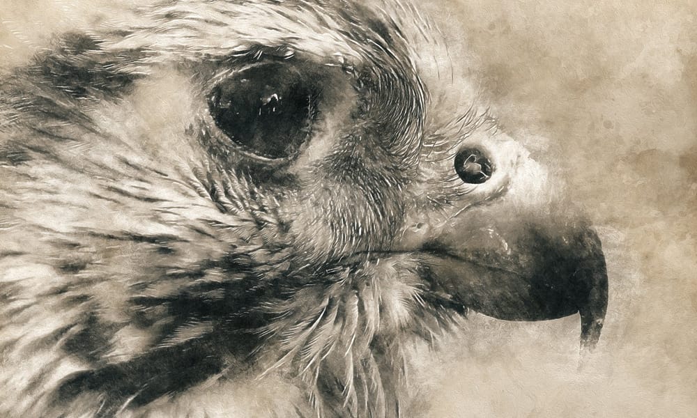 Vintage Photoshop Action