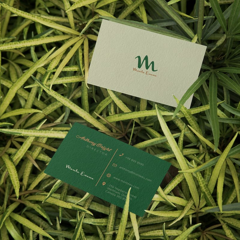 With Leaves Business Card Mockup PSD