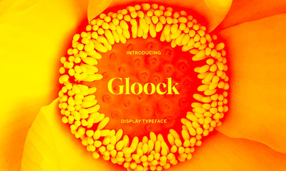 Gloock Typeface