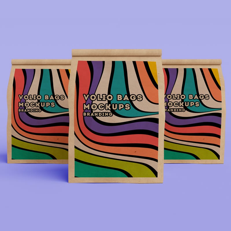 Big Snack Paper Bag Mockup PSD