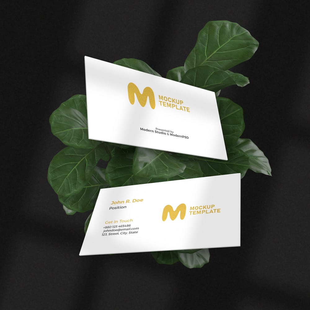 Free Luxury Floating Business Card Mockup PSD