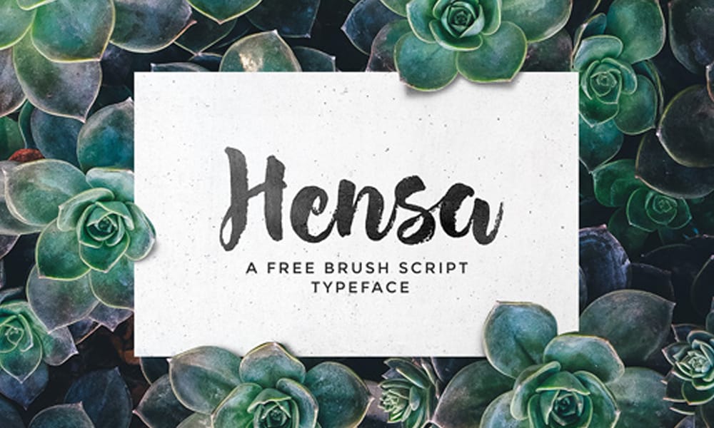 Hensa Brush Script