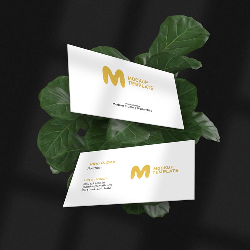 Luxury Floating Business Card Mockup PSD