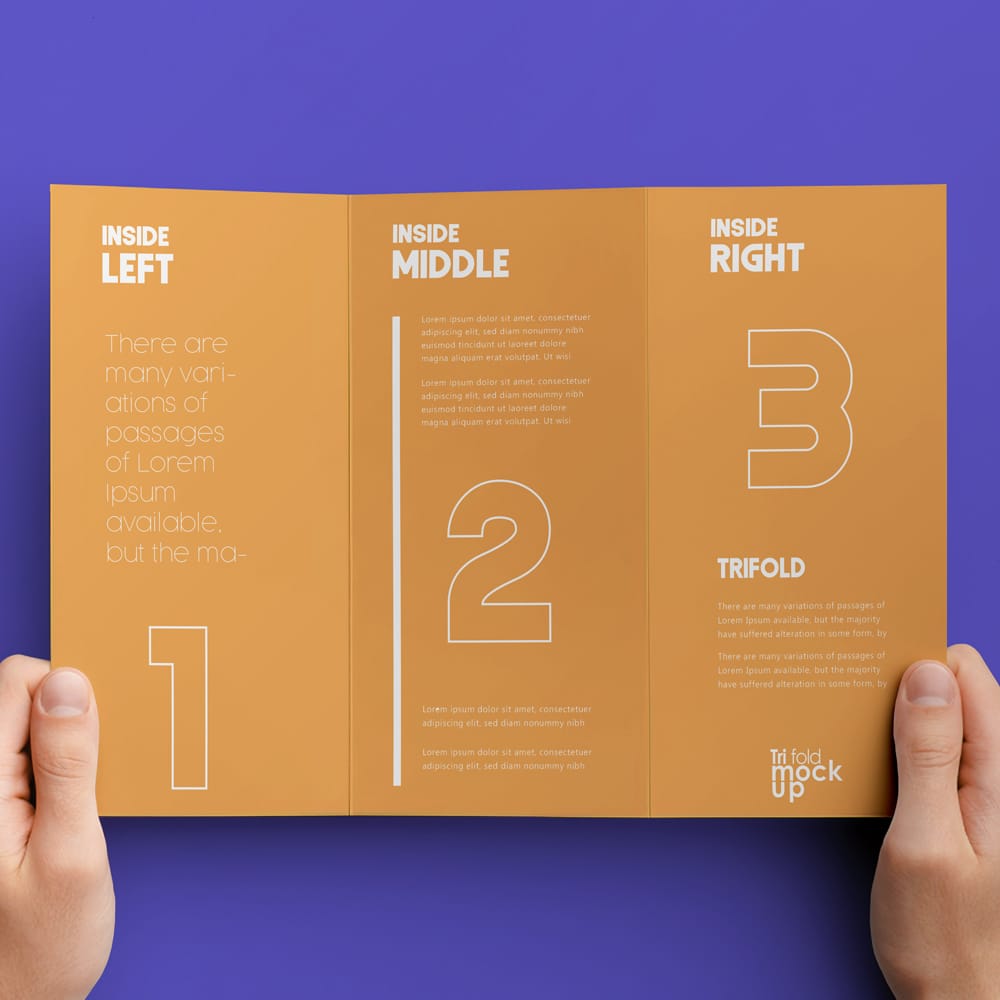 Free Hand Holding Brochure Mockup PSD
