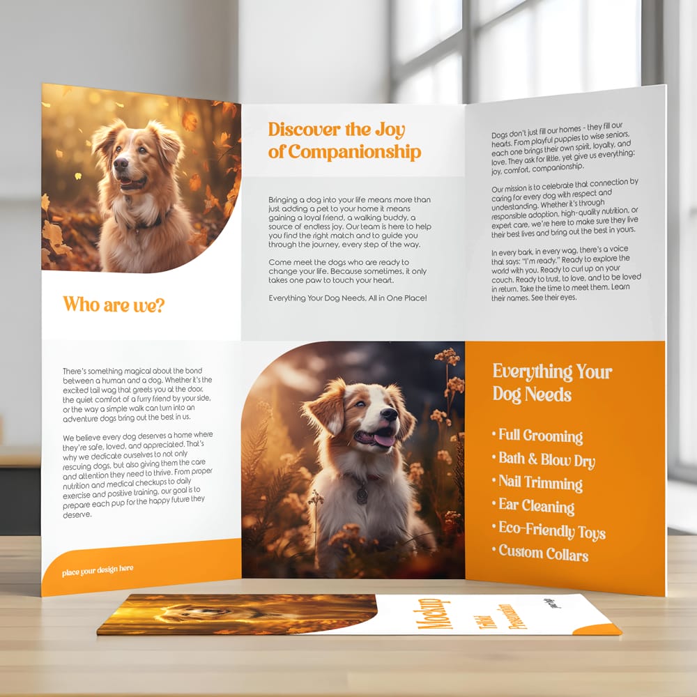 Free Trifold Presentation Mockup PSD