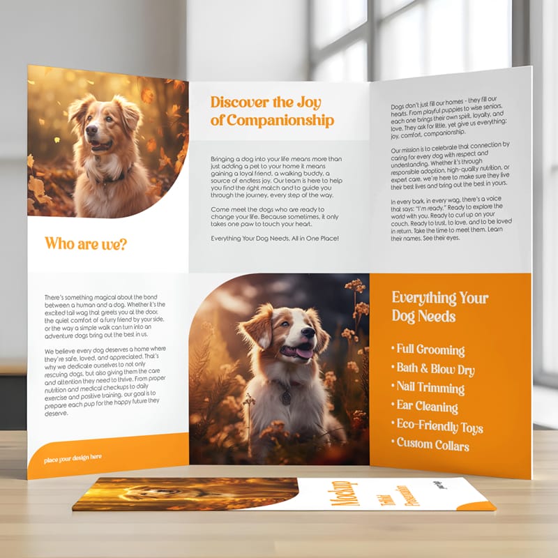 Trifold Presentation Mockup PSD