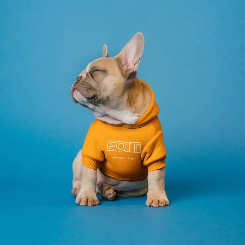 Dog Clothes Mockup PSD