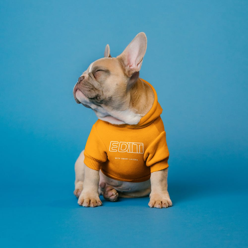 Free Dog Clothes Mockup PSD