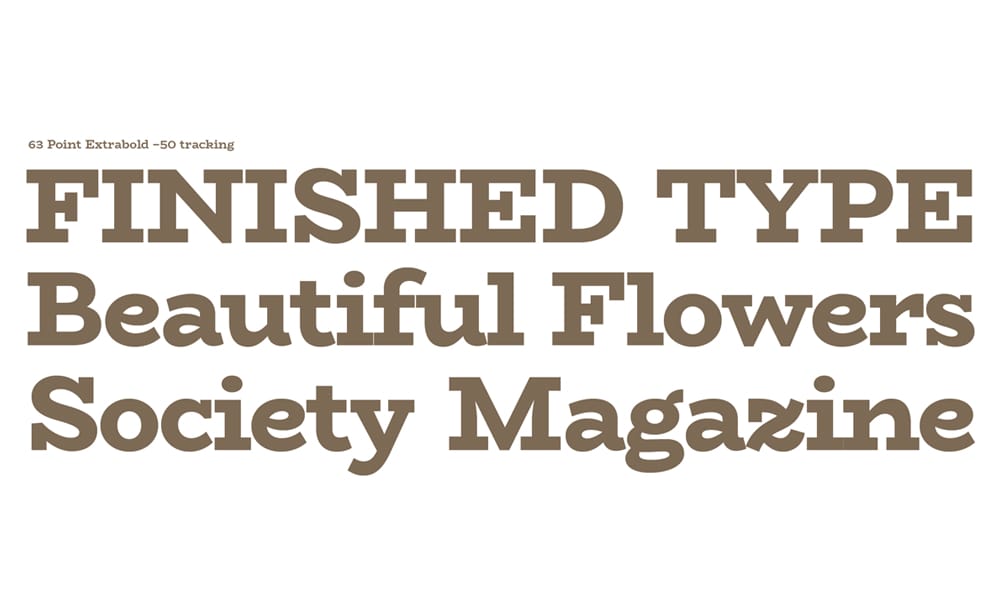 BioRhyme Slab Serif Fonts