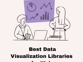 Best Data Visualization Libraries for Web