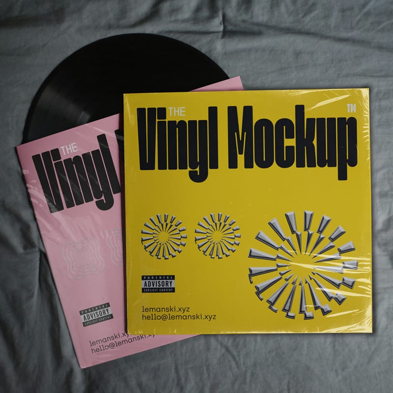 Two Vinyl Mockups PSD