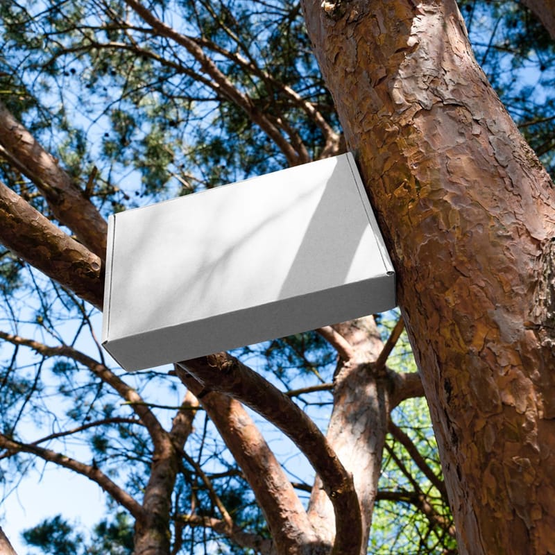 Low Angle Tree Branch Mailer Box Branding Mockup PSD