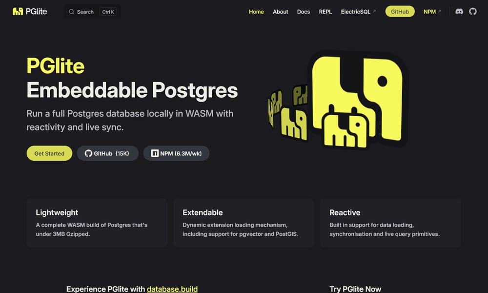 PGlite running Postgres queries directly in the browser console