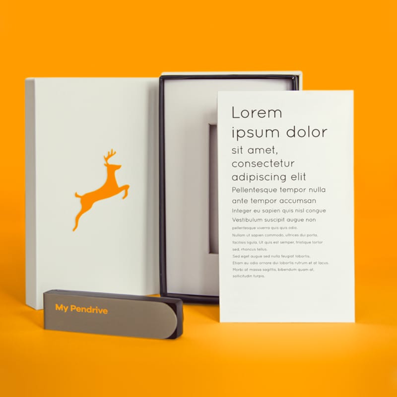 USB Drive with Box Mockups PSD